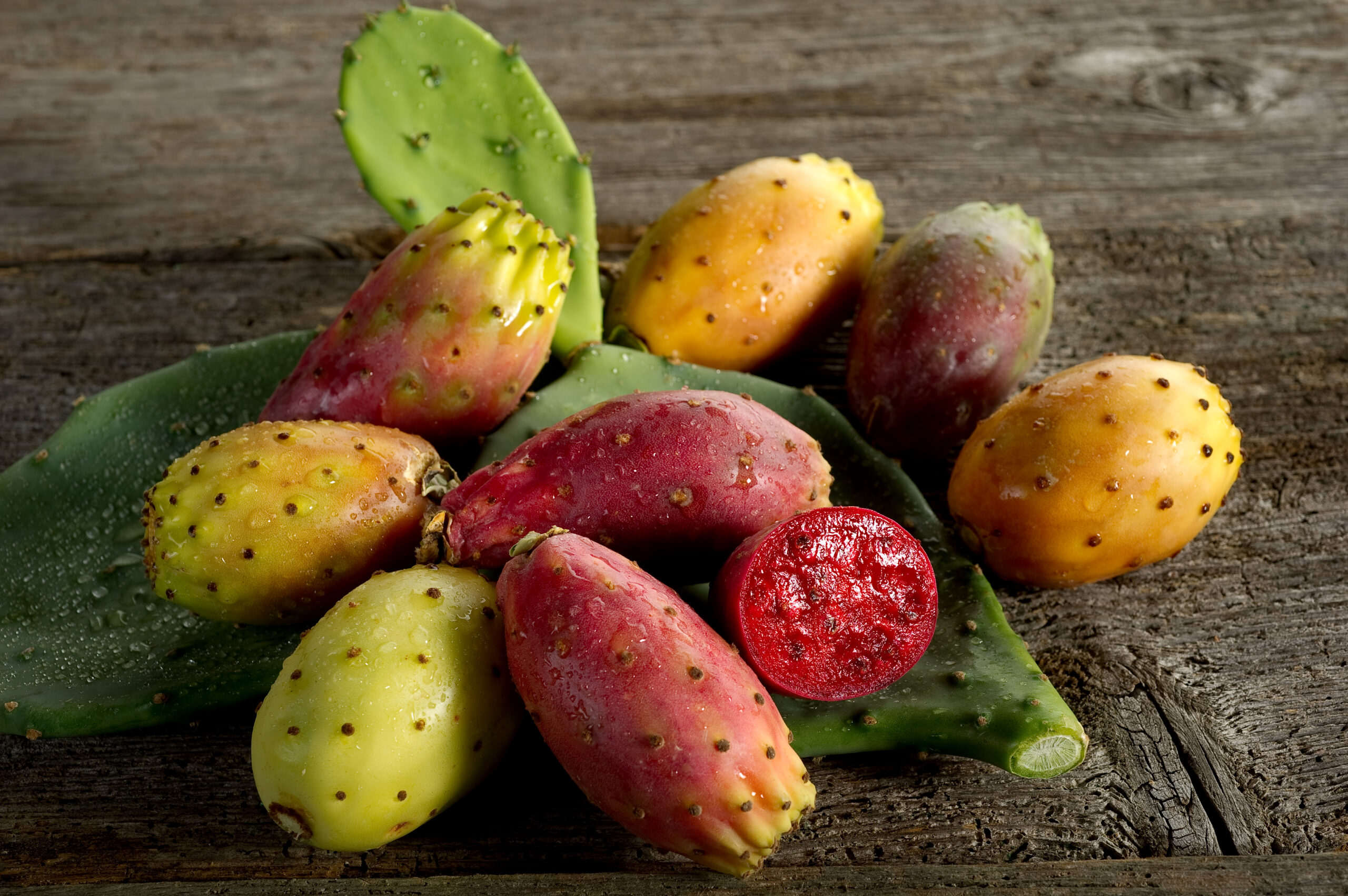 Hvad er kaktusfrugt? (opuntia-ficus, prickly pear)
